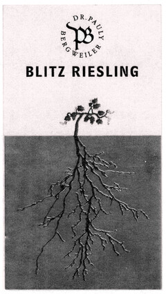 BLITZ RIESLING