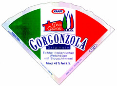 GORGONZOLA Originale Echter italienischer Weichkäse mit Blauschimmel