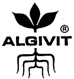 ALGIVIT