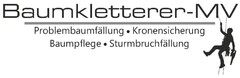 Baumkletterer-MV Problembaumfällung Kronensicherung Baumpflege Sturmbruchfällung