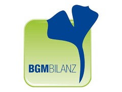 BGMBILANZ