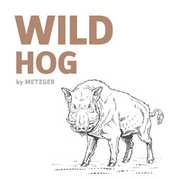 WILD HOG by METZGER