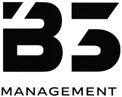 B3 MANAGEMENT