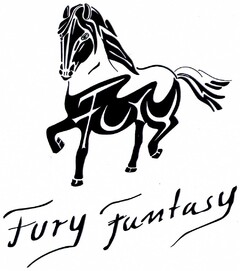 Fury Fantasy