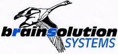 brainsolution SYSTEMS