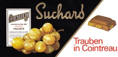 Suchard Trauben in Cointreau