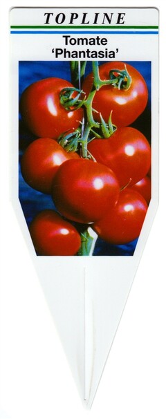 TOPLINE Tomate 'Phantasia'