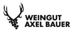 WEINGUT AXEL BAUER