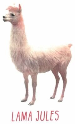 LAMA JULES