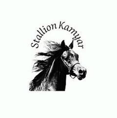 Stallion Kamyar