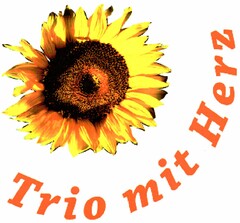 Trio mit Herz
