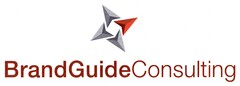 BrandGuideConsulting