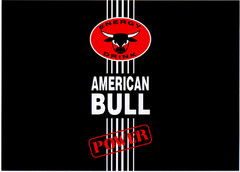 ENERGY DRINK AMERICAN BULL POWER