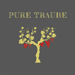 PURE TRAUBE