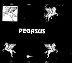 PEGASUS