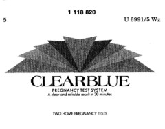 CLEARBLUE PREGNANCY TEST SYSTEM