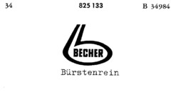 BECHER Bürstenrein