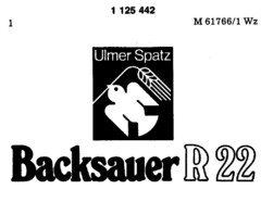 Ulmer Spatz Backsauer R 22