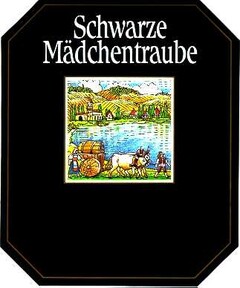 Schwarze Mädchentraube