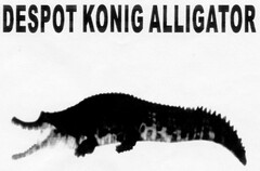 DESPOT KONIG ALLIGATOR