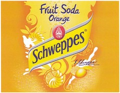 Fruit Soda Orange Schweppes