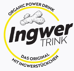 ORGANIC POWER DRINK Ingwer TRINK DAS ORIGINAL MIT INGWERSTÜCKCHEN