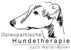 Osteopathische Hundetherapie nach Welter-Böller