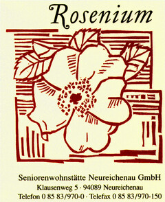 Rosenium Seniorenwohnstätte Neureichenau GmbH