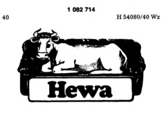 Hewa