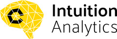 Intuition Analytics