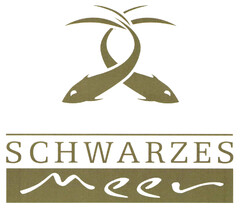 SCHWARZES Meer