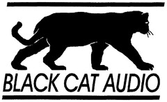 BLACK CAT AUDIO