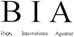 B I A Bay. Innovations Agentur