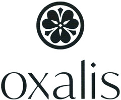 oxalis