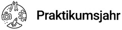 Praktikumsjahr