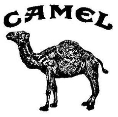 CAMEL