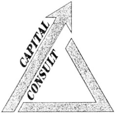 CAPITAL CONSULT
