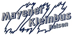 Mayener Kleinbus Reisen