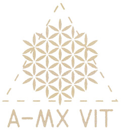A-MX VIT