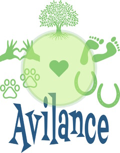 Avilance