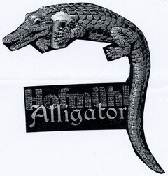 Alligator