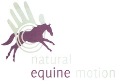 natural equine motion