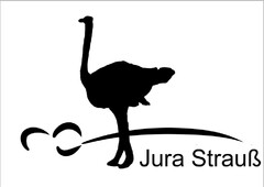 Jura Strauß