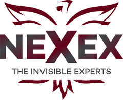 NEXEX THE INVISIBLE EXPERTS