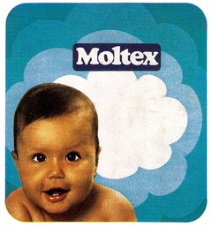 Moltex