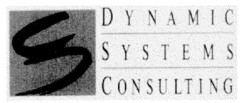 DYNAMIC SYSTEMS CONSULTING
