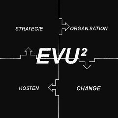 STRATEGIE ORGANISATION EVU² KOSTEN CHANGE