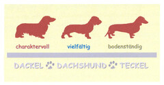 DACKEL DACHSHUND TECKEL