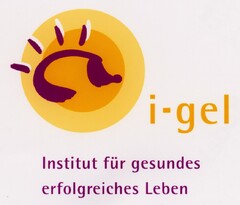 i-gel Institut für gesundes erfolgreiches Leben