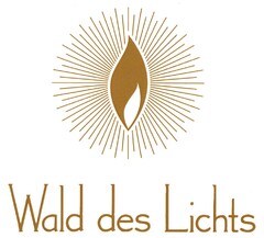 Wald des Lichts